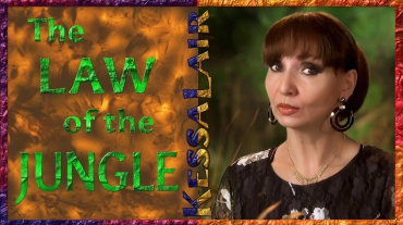 The Law of the Jungle Kessalair