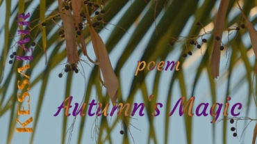 Palm leaves with berries from Autumn Magic Spoken Poem at KessaLair