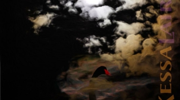 Schwarzer Schwan unter Mond und Wolken aus Das Lied des einsamen Schwans Gedicht KessaLair