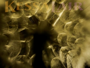 Golden dandelion from the Short Story Again at KessaLair