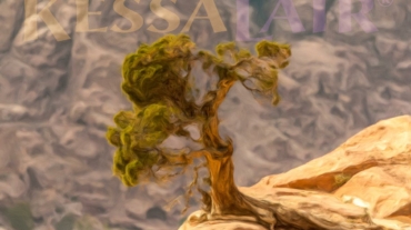 Lonely tree on rock from the Isolation Poem at KessaLair