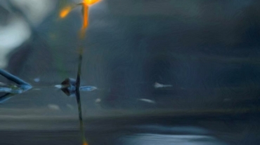 Glowing papyrus in pond from Lately Poem at KessaLair